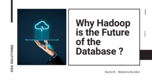 Why Hadoop is the Future of the Database